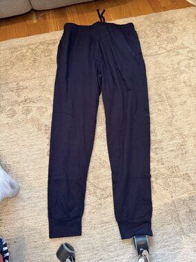 Navy Disney Sweatpants M NWT
